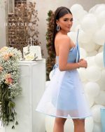 The blue Jamila dress
