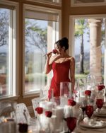 Rebecca Dress - Image 10